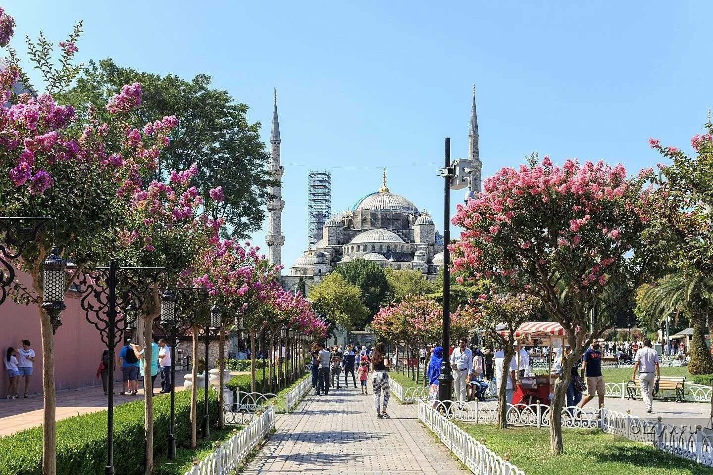Окрестности стамбула. Стамбул Султанахмет улицы. Султанахмет (площадь). Стамбул фестиваль тюльпанов Султанахмет. Площадь и мечеть Султанахмет.