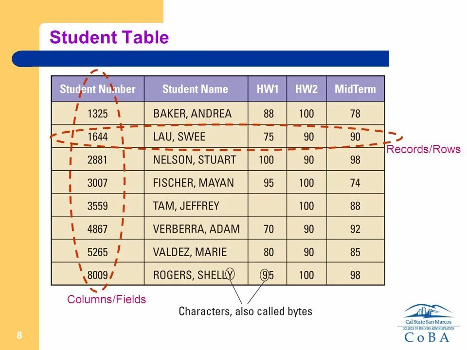 The student is the table. Таблица student. Student Table. T student Table. Column Row Table.