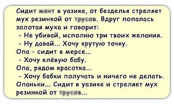 анекдот про 3 мух. анекдот про трех мух. смешной анекдот про муху. рабинович юмор. анекдот про муху.