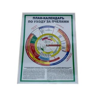 Учет пчел
