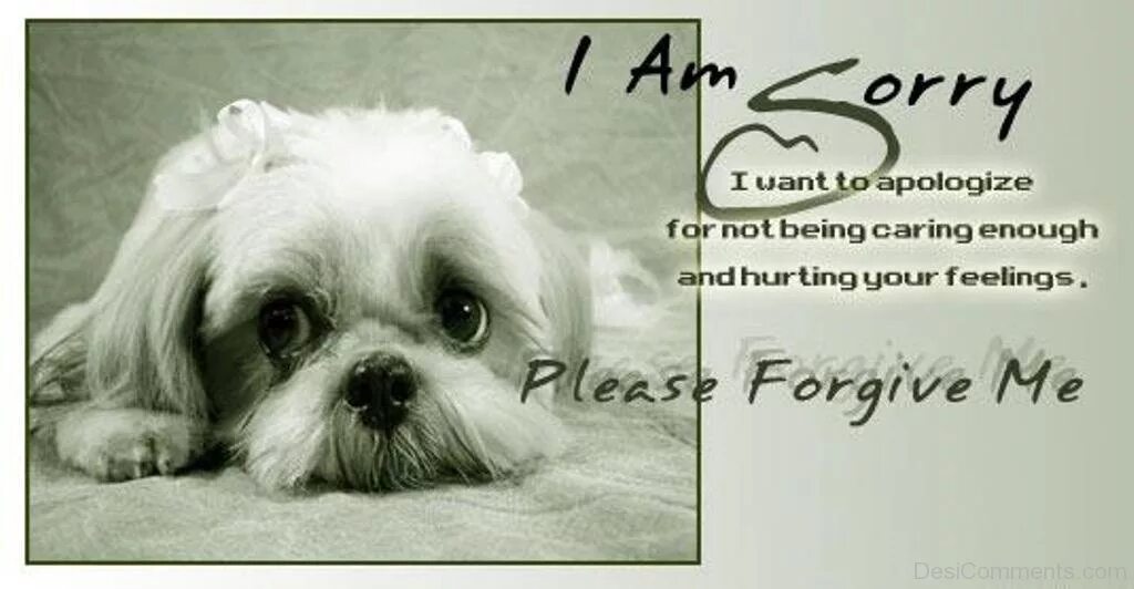 He forgive me. Открытка с извинениями на англ. Sorry открытка. Английские открытки прости меня. Извинение в стихах на английском языке.