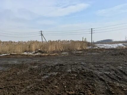 Лопатино ртищевский