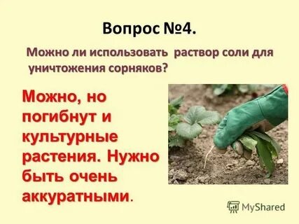 Можно поаккуратней