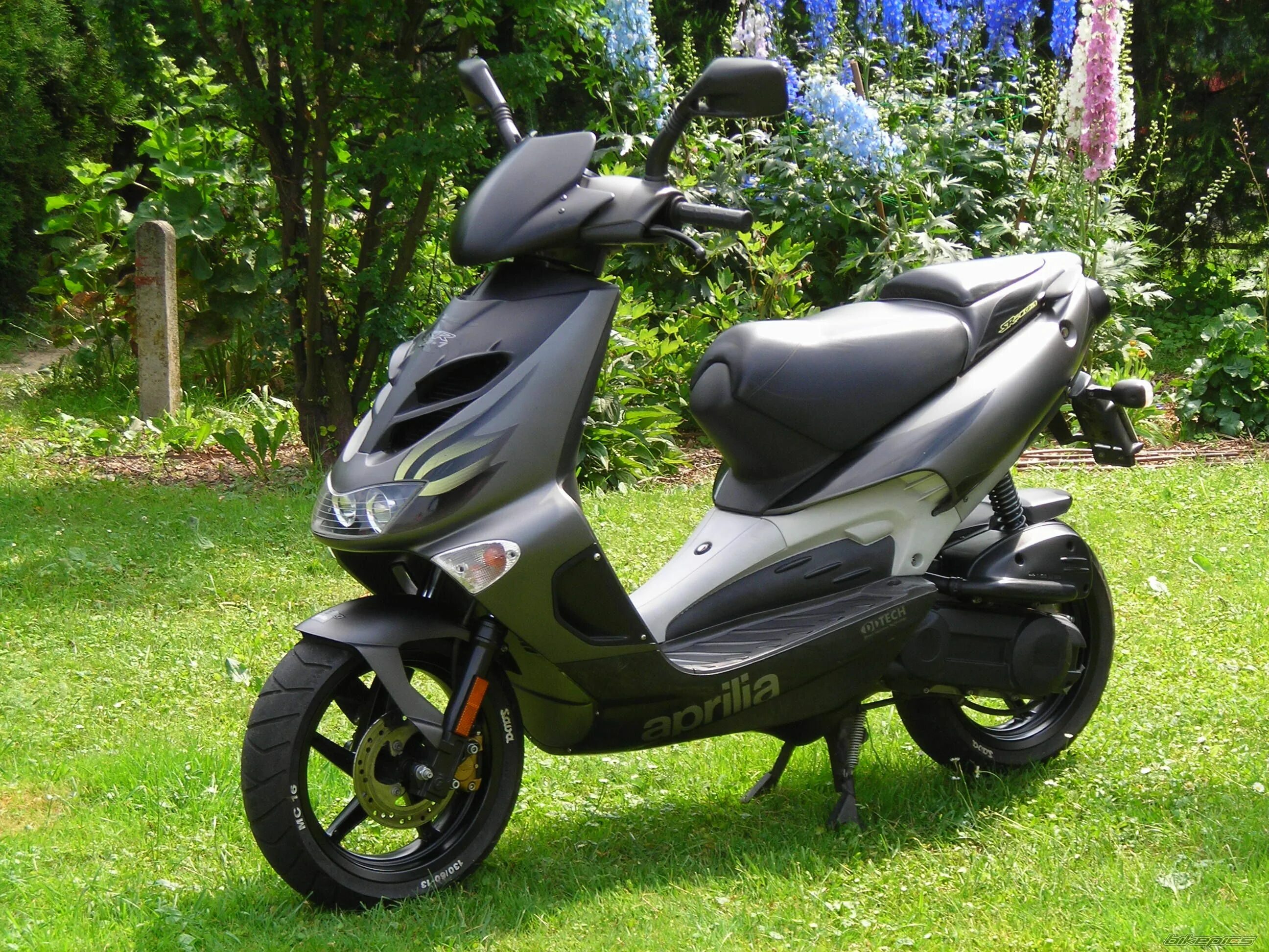 Скутер априлия. Aprilia SR 50. Скутер Априлия 50. Aprilia SR 50 2000. Aprilia SR 50 пластик.