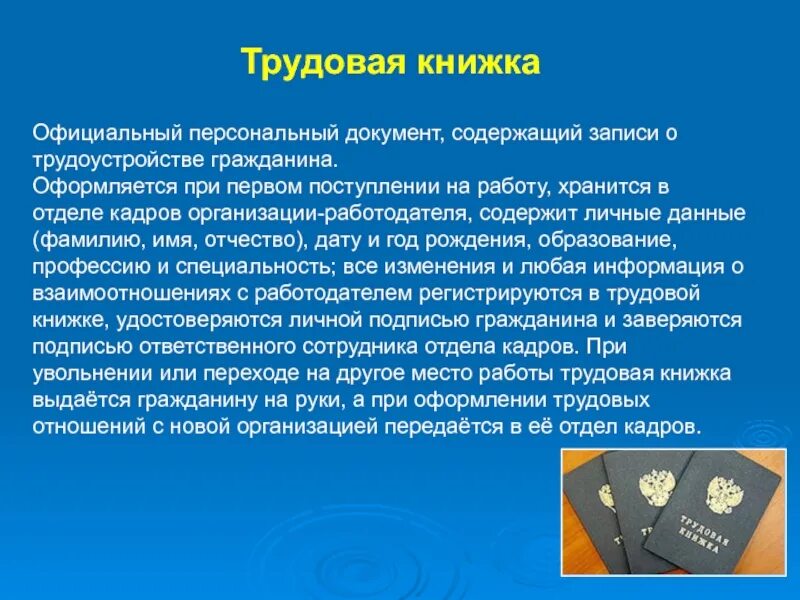 Кто из участников трудовых правоотношений имеет право. Трудовая книжка хранится. Трудовое право книжка. Трудовая книжка Трудовое право. Трудовые книжки работников хранятся.