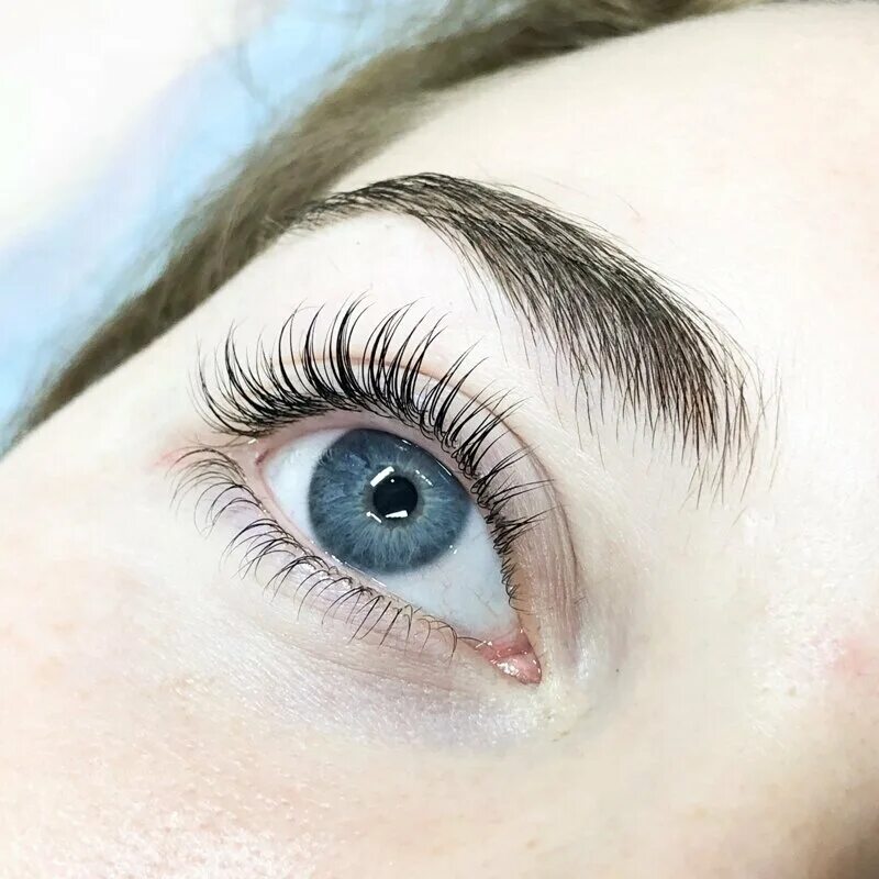 Novel lash up ламинирование. ресницы novel creative. Stapiz vital serum. новел ресницы. Novel lash up лосьон 3.