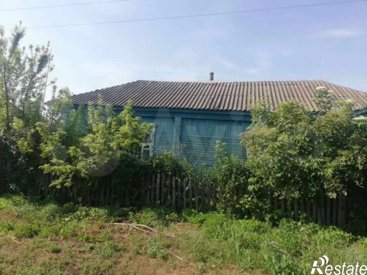Кирсановка воронежской обл. Кирсановка воронежской обл. Погода воронежская область грибановский кирсановка. Воронежская область село кирсановка. Кирсановка воронежской обл.