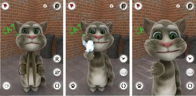 Создатель говорящего тома умер правда. Talking Tom игра 2010. Talking Tom Cat. Игра talking Tom Cat (2012. Talking Tom 1997.