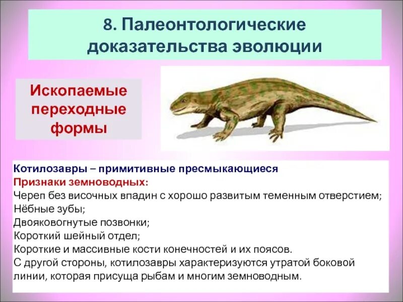 Кто является вымершим предком земноводных