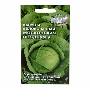 Поздние сорта капусты для квашения