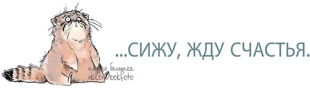 Сижу жду. Жду картинки. Открытка жду. Будем ждать картинки.