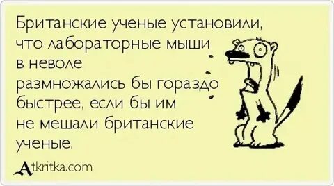 Съесть просить