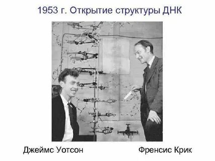 Открытие структуры