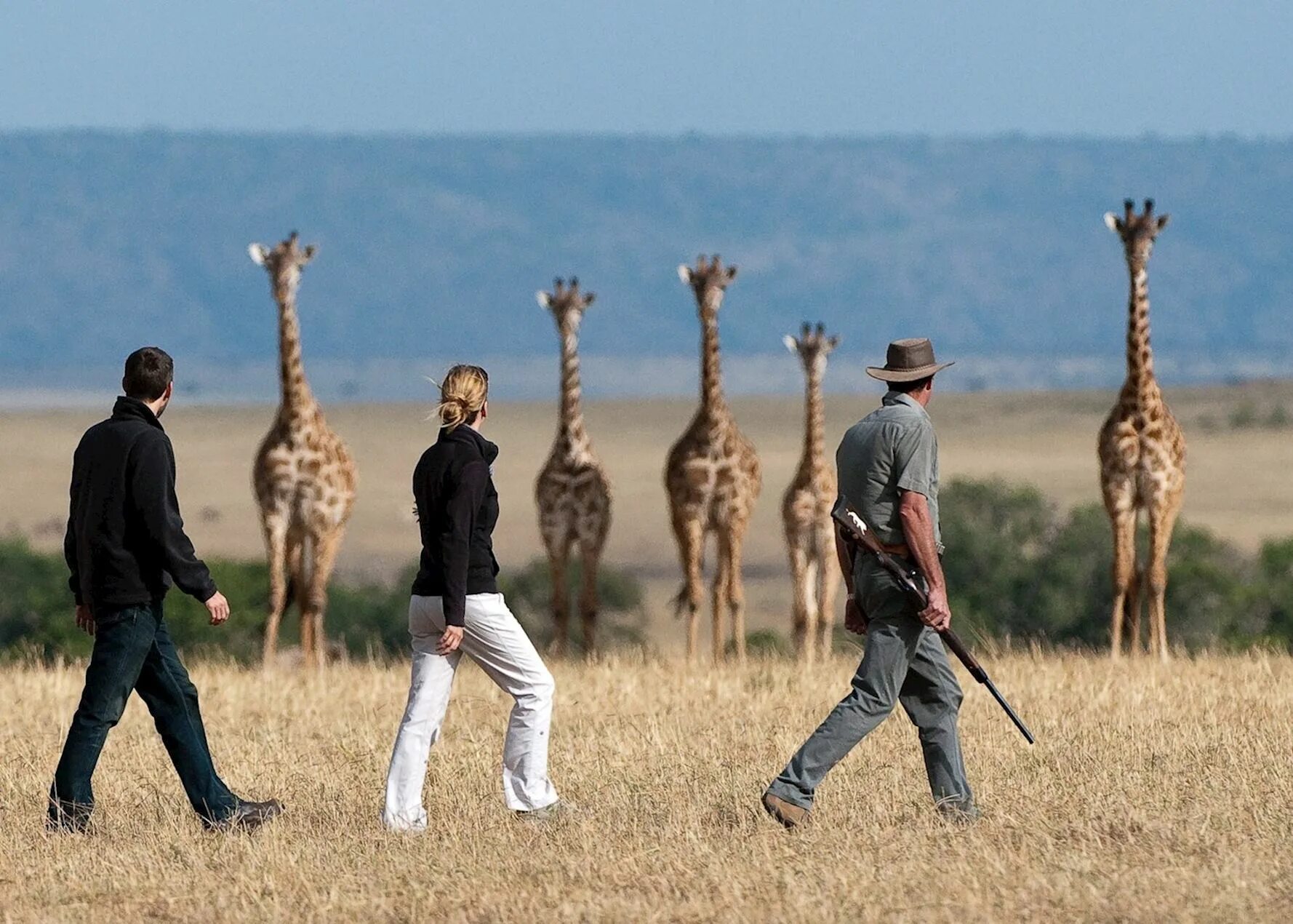 Trip africa. Сафари туристы. Кения сафари. Африка для туристов. Сафари экскурсия.