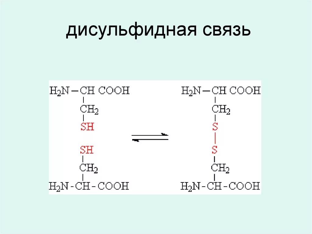 Образование дисульфидной связи. Дисульфидные связи между цистеином. Образование дисульфидных мостиков между остатками цистеина. Дисульфидные мостики в белках. Дисульфидный мостик структура белка.