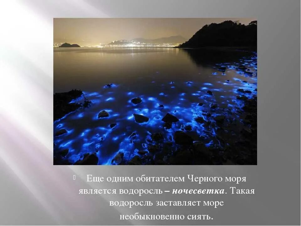 У черного моря окр мир 4 класс