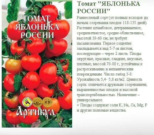 Томаты яблонька описание сорта. Томат Яблонька характеристика. Томат Яблонька России характеристика. Томаты Яблонька России описание сорта. Томат Яблонька России характеристика и описание.