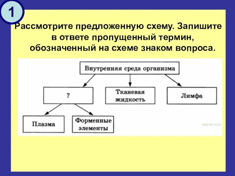Каким термином обозначается совокупность проблем