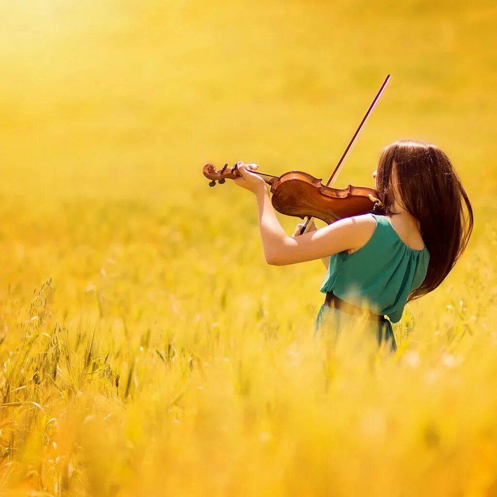 Скрипка на полу. Скрипачка в поле. Скрипач в поле. Девушка со скрипкой в поле. Лето скрипачка луг.