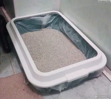 Производители кошачьего туалета