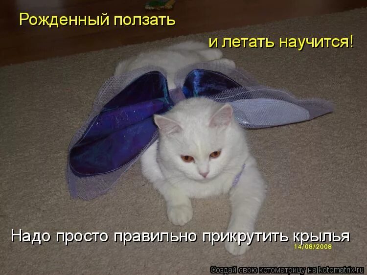 Правильное питание. Что изучает орфоэпия 5 класс. Это просто правильно. Это просто правильно. Вот вам деньги скажите как правильно.