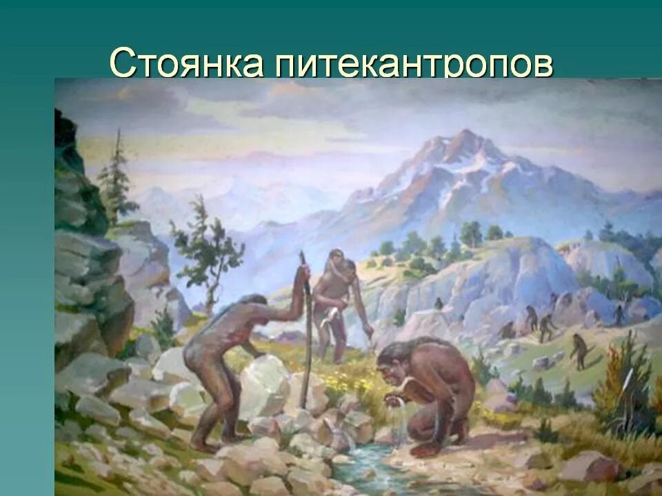 Древние люди кубани доклад. Информация о древних людях. Древние люди кубани. Древние люди кубани. Стоянка питекантропов.