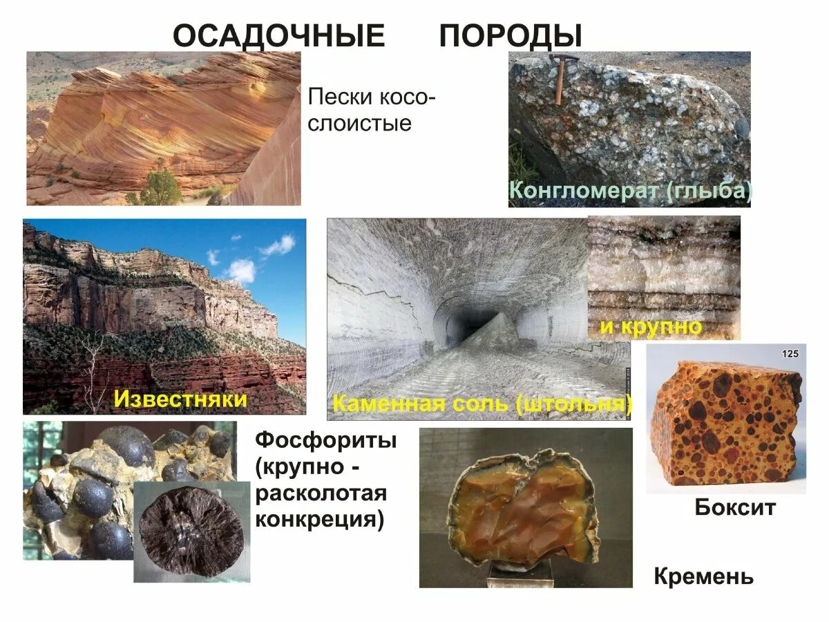 Горные породы. Осадочные минералы. Горные породы по происхождению. Горные породы осадочные породы. Примеры горных пород магматического осадочного