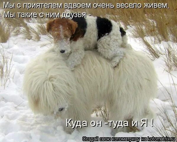 Мы с приятелем вдвоем очень весело. Мы с приятелем вдвоем михалков. Мы с приятелем вдвоем дружно весело живем синонимы. Мы с приятелем вдвоем очень весело. Мы с подружкою вдвоем очень весело живем.