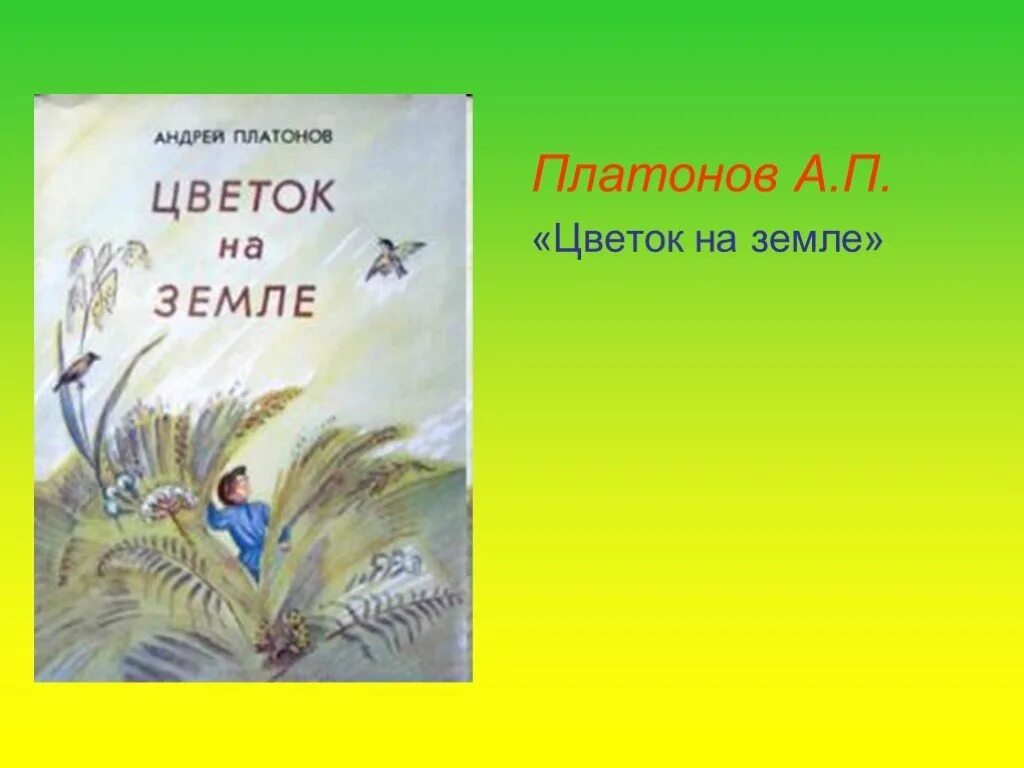 Цветок на земле вопросы по содержанию произведения. Платонова цветок на земле. 3 Кл. Литературное чтение а, Платонов "цветок на земле". Произведение цветок на земле.