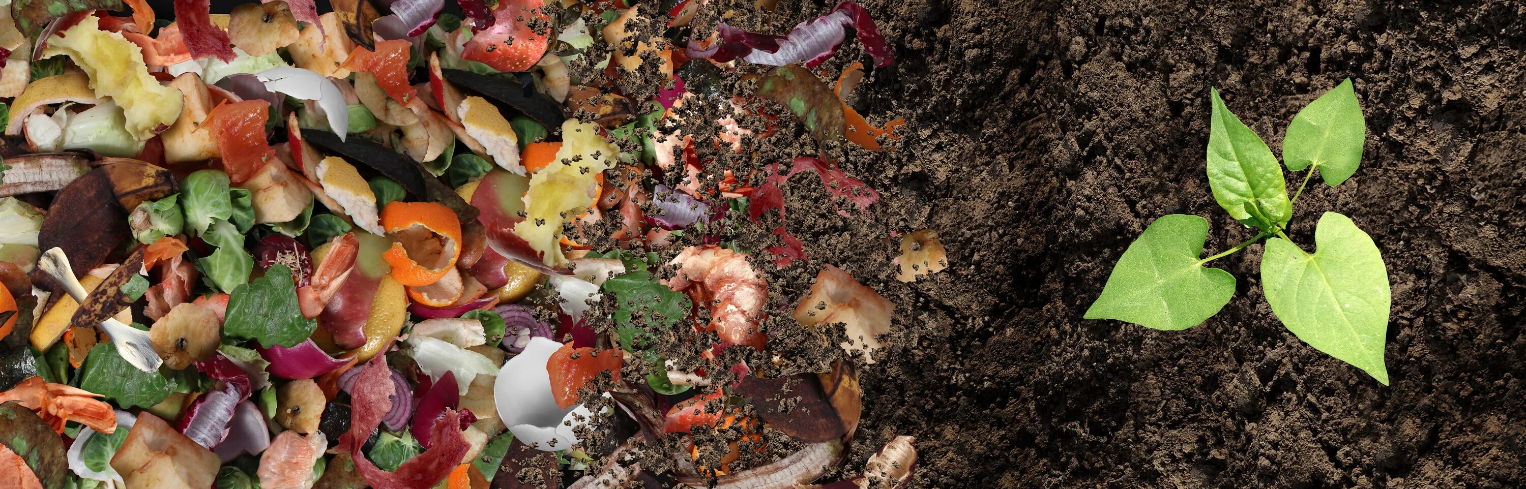 Composted wastes