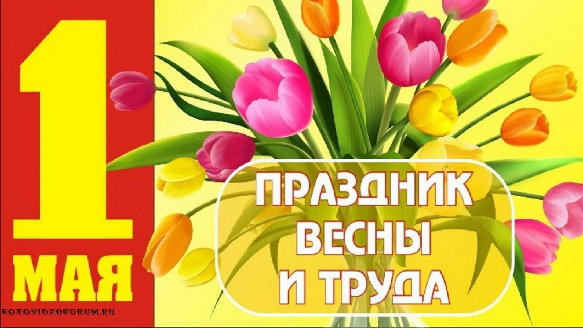 Поздравление с 1 мая. Открытки с 1 мая. 1 Мая праздник весны и труда. Поздравления с первым мая. Новый закон с 1 мая 2024