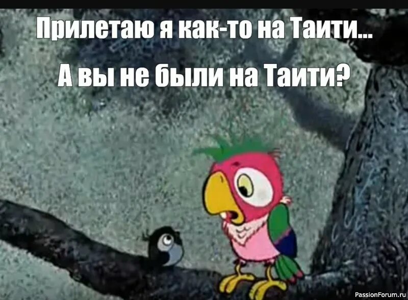 Были на то. А вы бывали на Таити. Попугай Кеша Таити. А вы бывали на Таити Кеша. Вы не были на Таити.