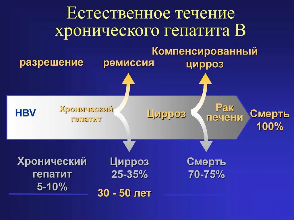 Течение хронического гепатита. Естественное течение хронического гепатита в. Стадии течения хронического гепатита. Естественное течение вирусного гепатита в. Естественное течение гепатита с.