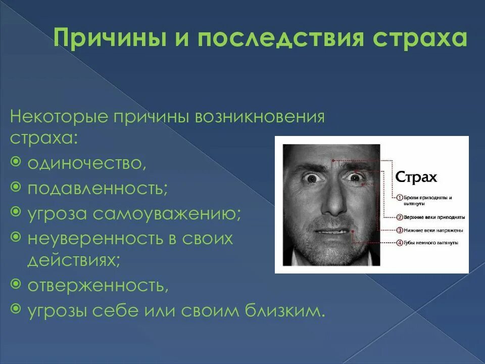 Как страх может воздействовать на человека 13.3. Последствия страха. Причины фобий. Причины возникновения страха.