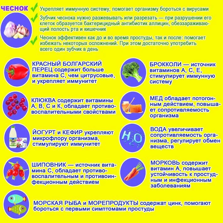 Профилактика от простуды. Защитники организма от гриппа и простуды. Профилактика от заболеваний простуды. Профилактика от простуды для детей. Профилактика чтобы не заболеть