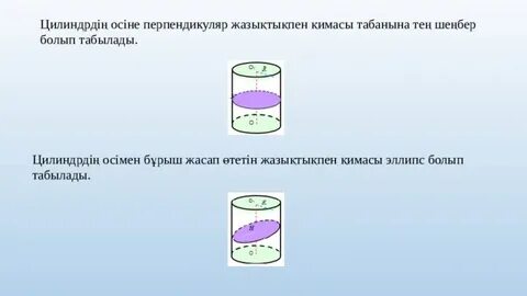 Қынаптың көлденең қимасы