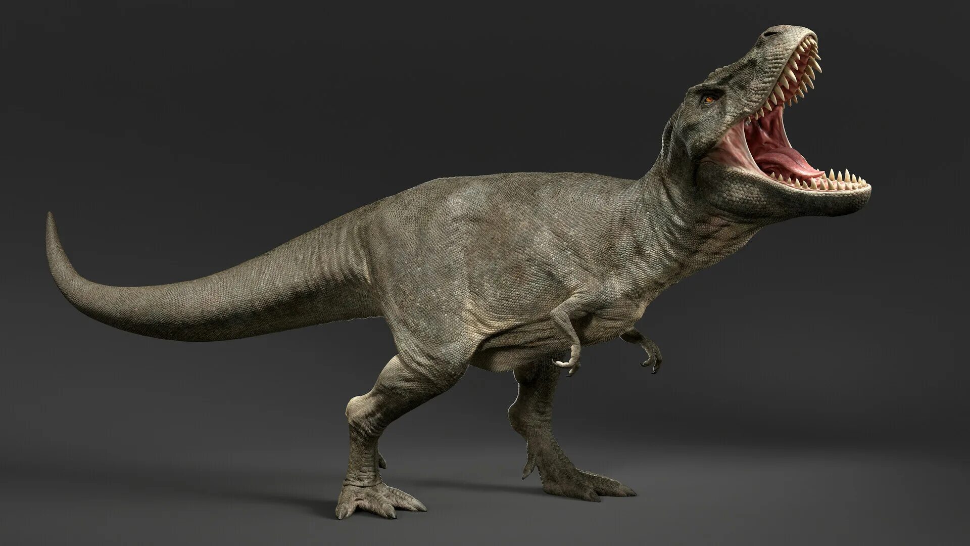 Тирекс Тирекс. Тираннозавр рекс. Тирекс динозавр. Тираннозавр рекс Тирекс Тирекс.