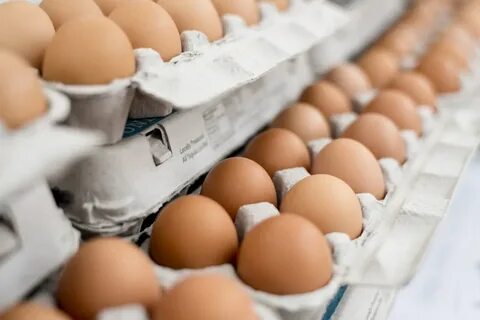 Почему стоит яйцо