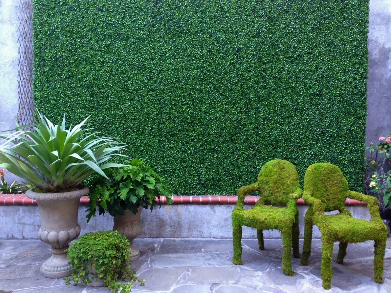 Trezz кашпо. Бонсай буксус. Самшит стелющийся. Фикусное дерево. Садовые искусственные растения примеры.