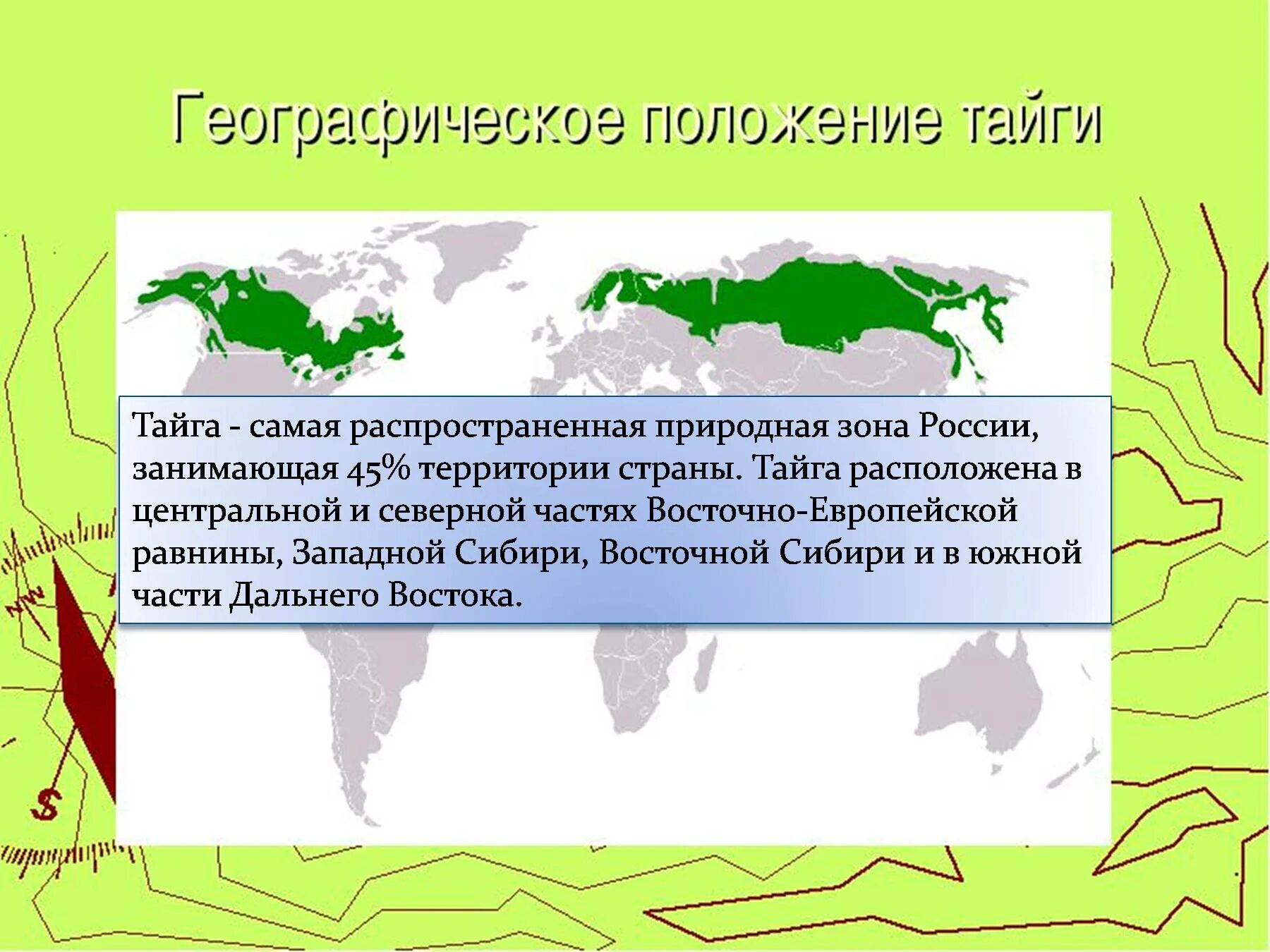 Географическое положение тайги. Тайга на карте. Зона широколиственных лесов на карте России. Географическое положение тайги в России на карте.