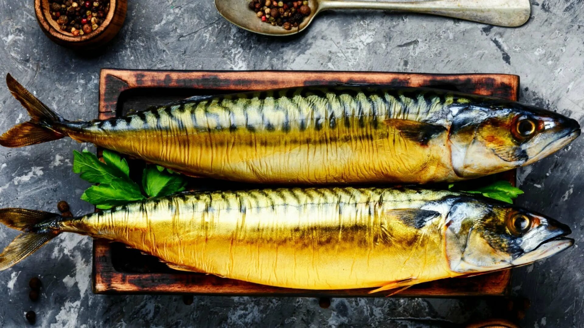 Копченая скумбрия в домашних в заварке. Скумбрия холодного копчения. Рыба скумбрия копченая. Скумбрия горячего копчения. Рыба горячего копчения скумбрия.