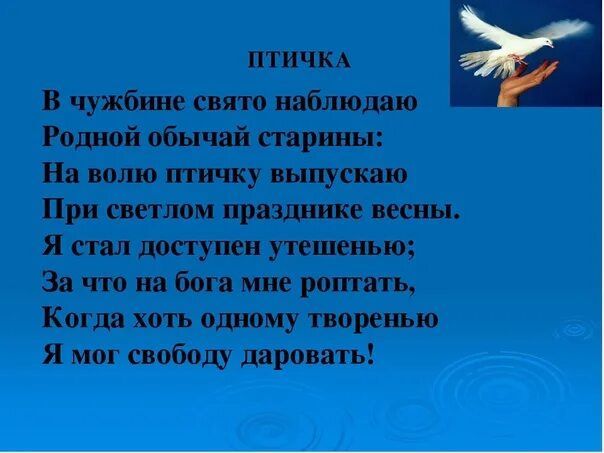 На волю птичку выпускаю при светлом празднике. Пушкин на волю птичку выпускаю. В чужбине Свято наблюдаю родной обычай. Стих Пушкина на волю птичку выпускаю.