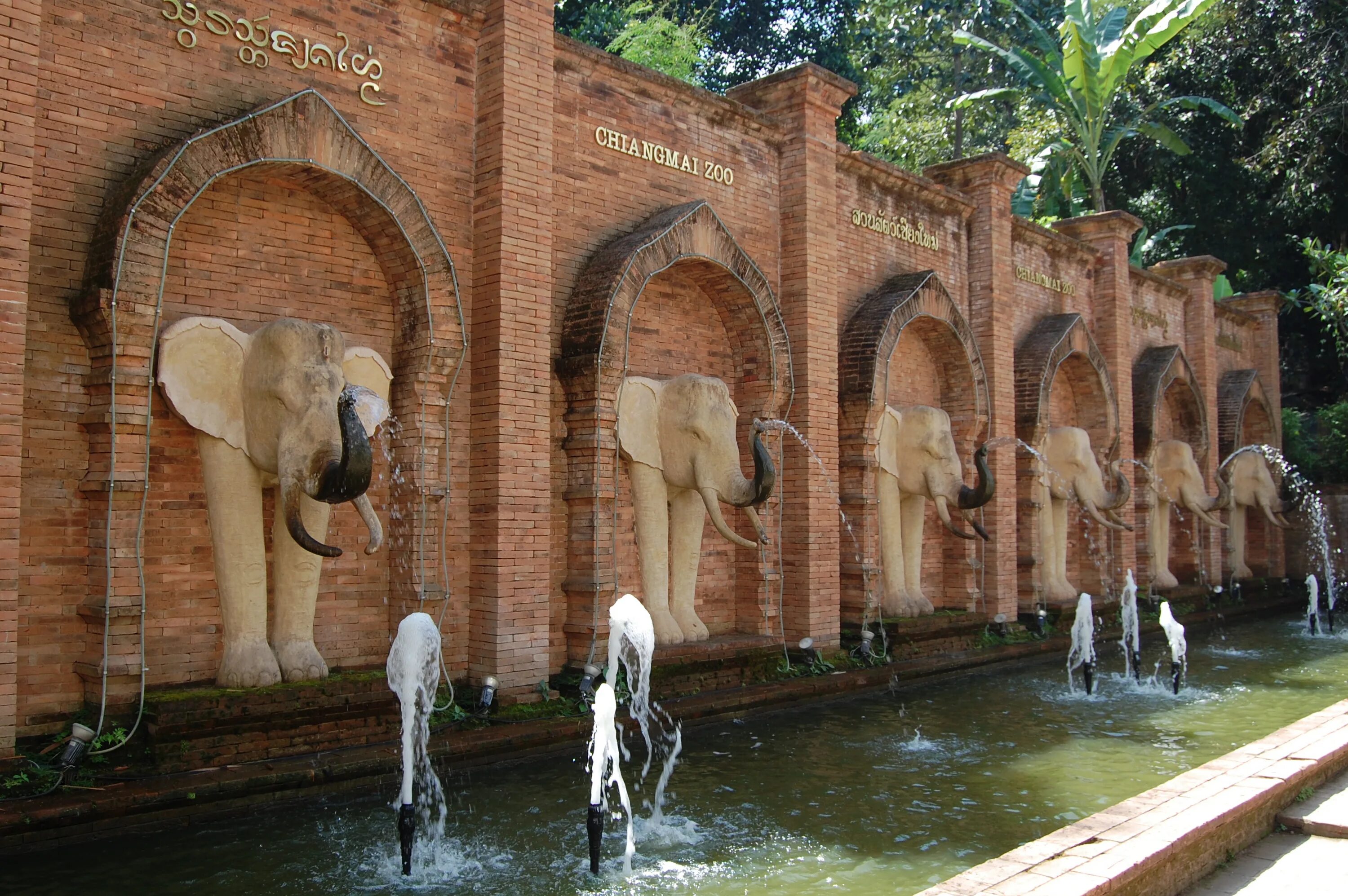 Май зоопарк. Chiang mai Zoo Таиланд. Зоопарк в Чиангмае, Тайланд. Зоопарк Шеньян. Чиангмайский зоопарк аквариум.