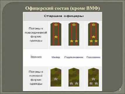 Звезды на полевых погонах