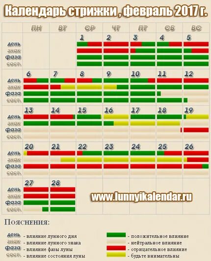 Февраль дни стрижки волос. Календарь Восточный стрижка. Стрижка в феврале. Гороскоп стрижек на февраль. Детский календарь стрижек.