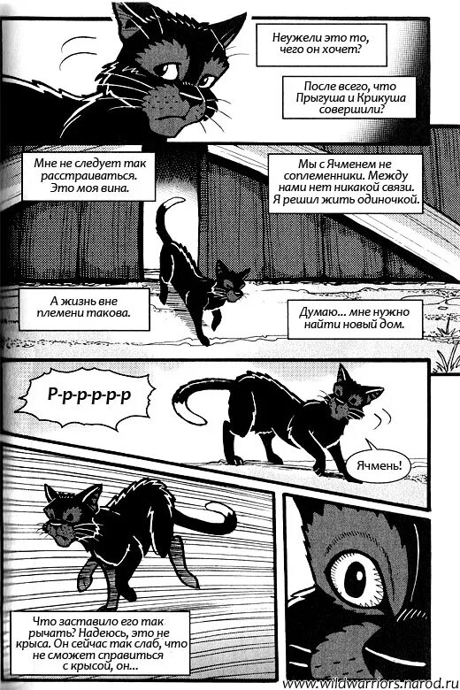 судьба коты воители. судьба коты воители. коты воители белолапа. судьба коты воители. коты воители пепелица и листвичка.