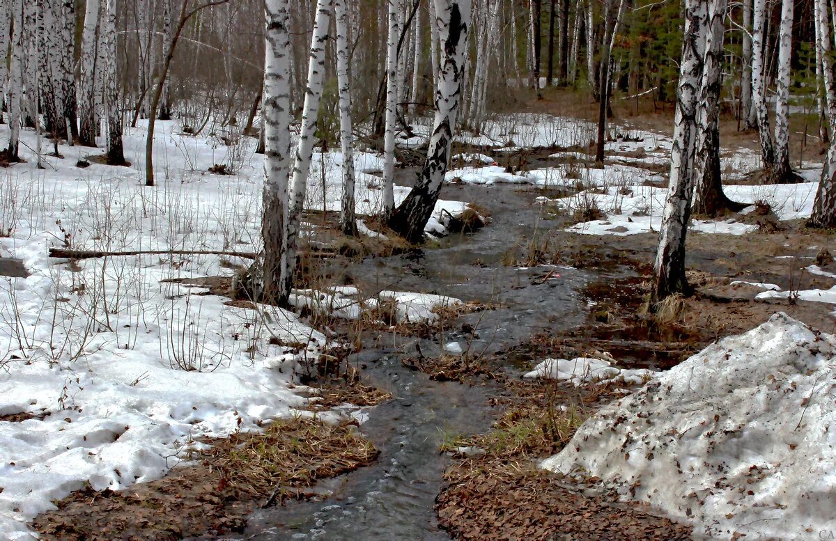 Весной весело журчат ручьи