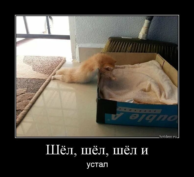Устал нет. Демотиваторы про усталость. конец понедельника. устал демотиватор. шла шла и уснула.