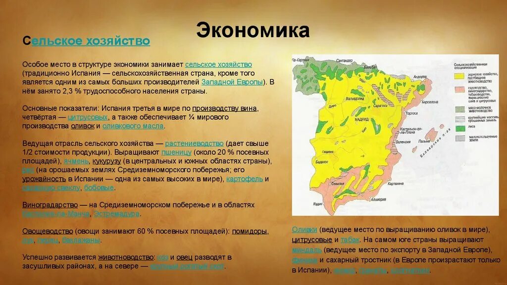 Испания особенности страны. Отрасли сельского хозяйства Испании. Сельское хозяйство Испании кратко. Отрасли специализации сельского хозяйства Испании. Характеристика сельского хозяйства Испании.