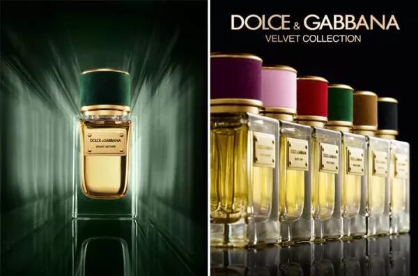 Дольче габбана лимитированная. Dolce & Gabbana Velvet Vetiver. Dolce Gabbana Vetiver духи. Дольче Габбана духи вельвет коллекшн. Dolce Gabbana Velvet collection коробка.